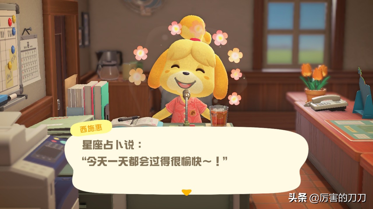 动物森友会三颗星怎么看,游戏动物森友会