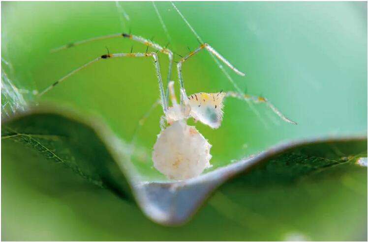 程斌摄影师,程斌摄影师作品