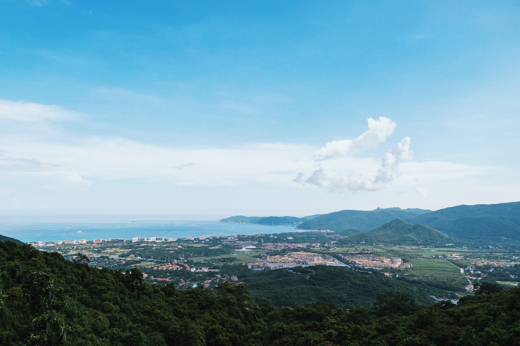 三亚地区国家级森林公园,三亚森林公园有哪些明星来过