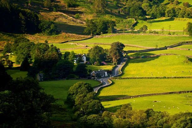 彭旭升古体诗词欣赏一一田园风
