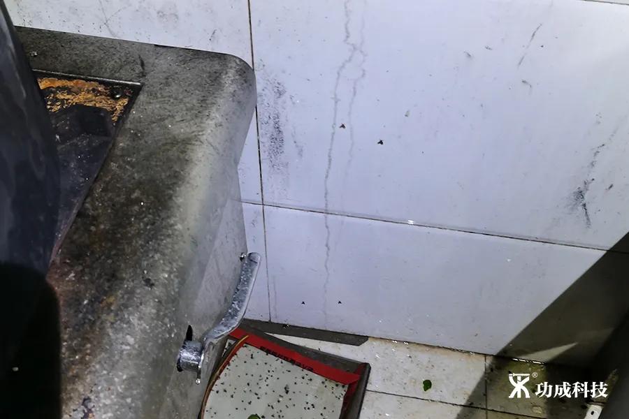 卫生间小虫子蛾蠓怎么来的,卫生间有小虫蛾蚋怎么治