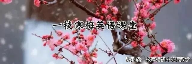 中考英语50个重点句型练习题答案,中考英语530个高频词怎么读