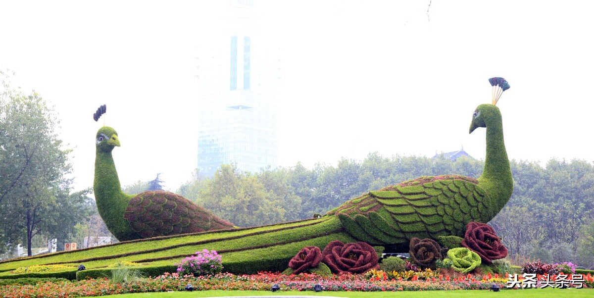 钗头凤陆游与唐琬是多少级的曲子,曾子航讲陆游与唐婉钗头凤