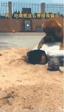 学会这招不愁找不到女朋友,学会这几招不怕找不到女朋友