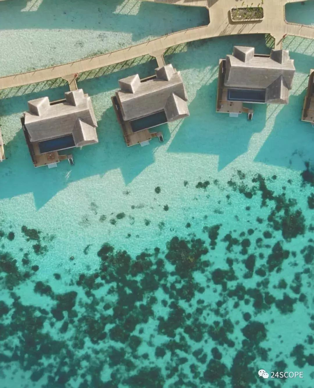 马尔代夫最美度假旅游岛酒店,马尔代夫娇丽酒店价格