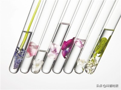 缇庡浜у搧鎶よ偆绉戞櫘,绉戞櫘缇庡浜у搧