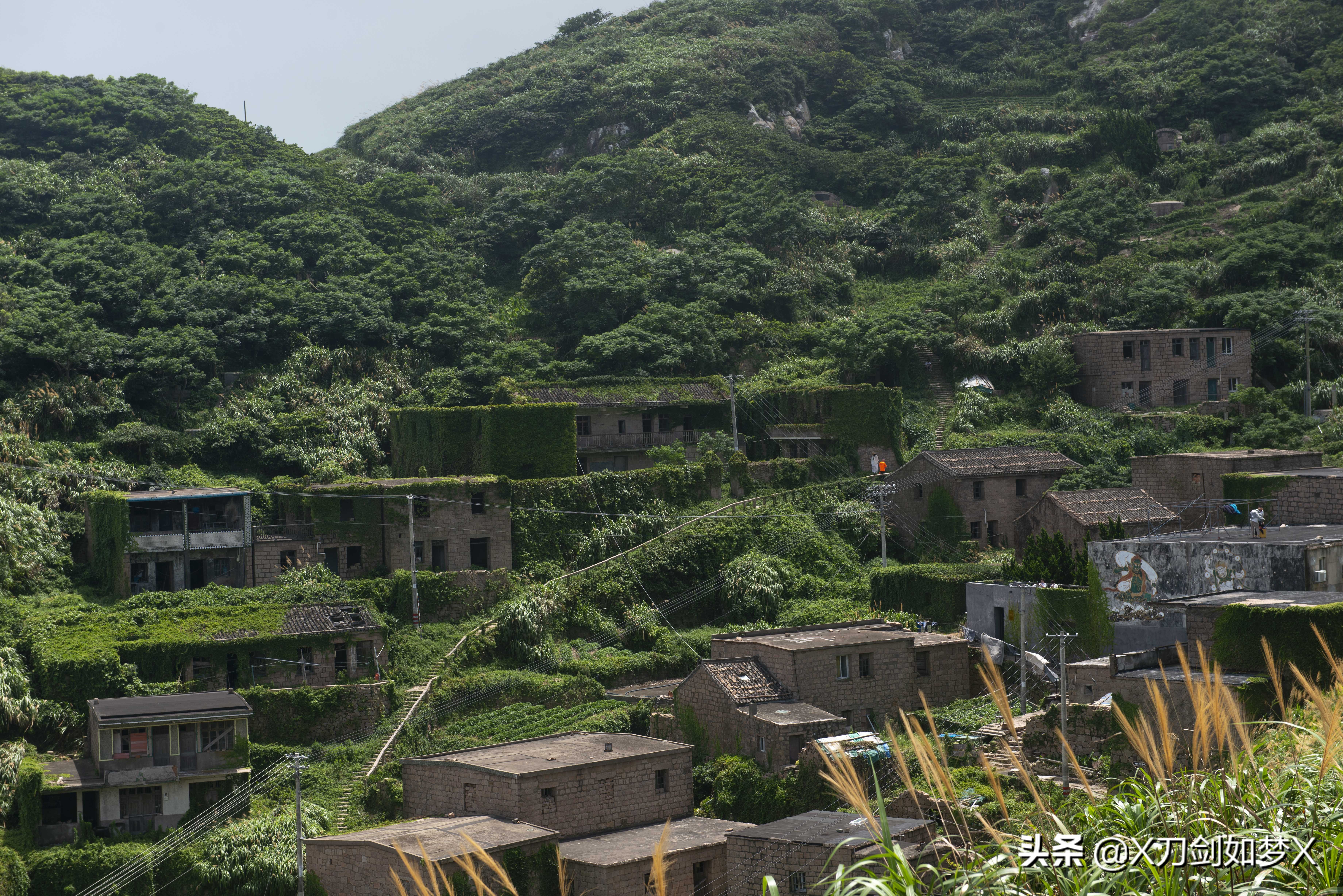 深度解析东极岛,东极岛登岛流程