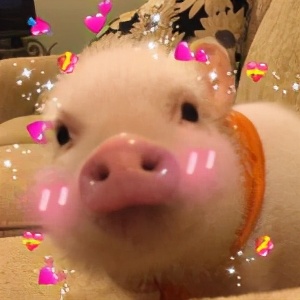 爱心和拥抱表情的组合,微信表情爱心符号图片