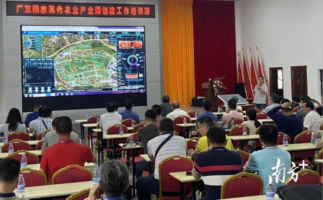 荔枝丰收季最新视频,荔枝丰收季广东