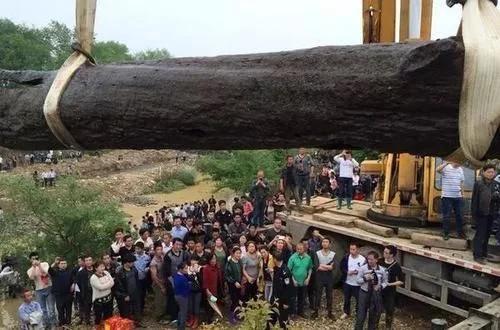 真正的民间高手把木头玩成艺术品,烂木头经过牛人打造后价值连城