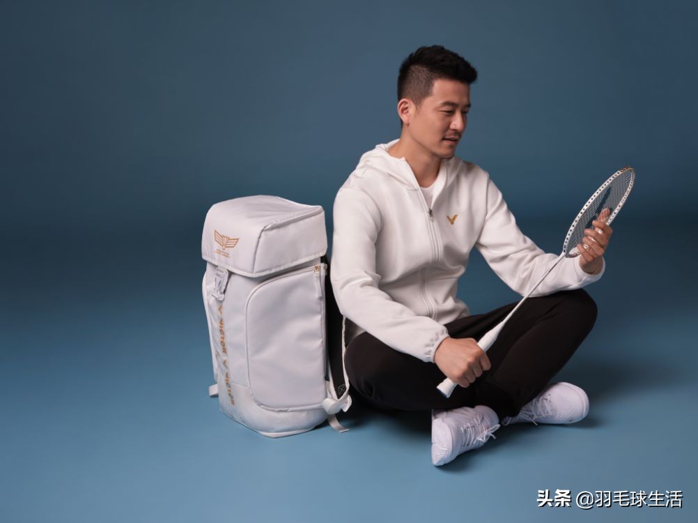 蔡赟体坛风云,风云生涯