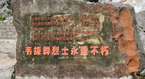 探秘广西巴马长寿之旅,广西巴马长寿探秘之旅