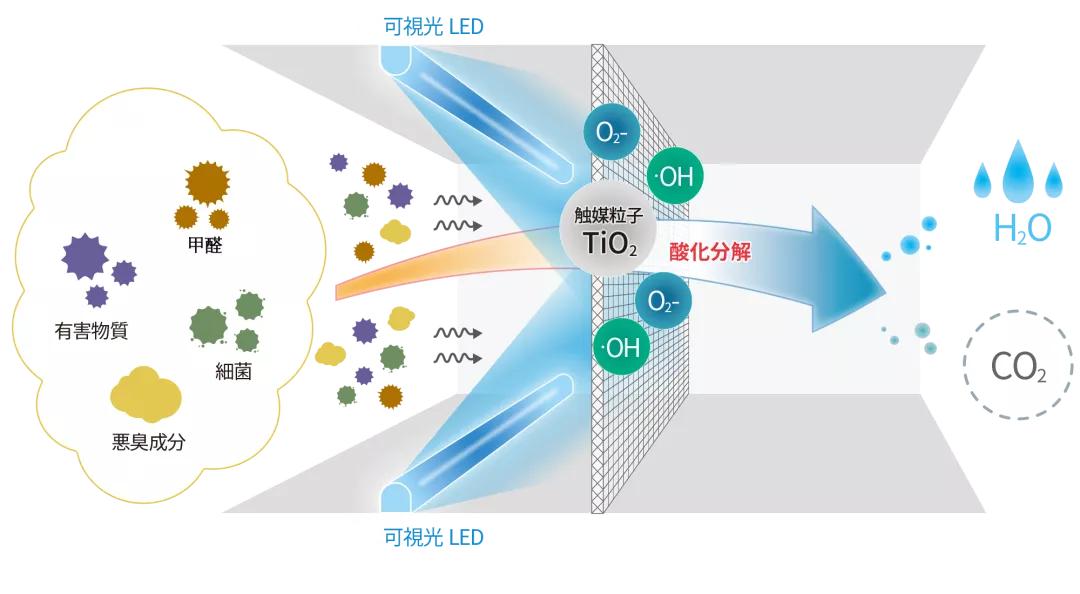 为什么除甲醛之前要关门窗,室内除甲醛杀手