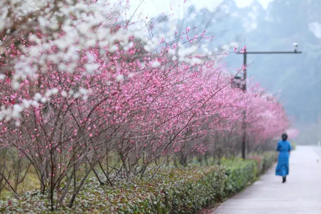 乐山市生态文明,庆祝新中国成立70周年特辑宣讲