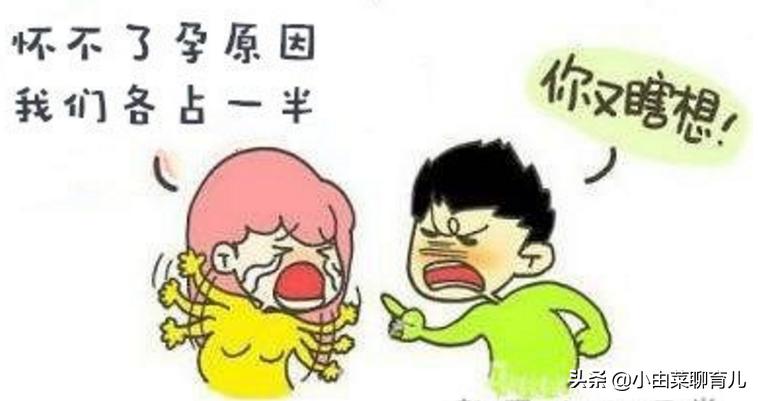 你不可不知道的受孕过程,早期受孕全过程