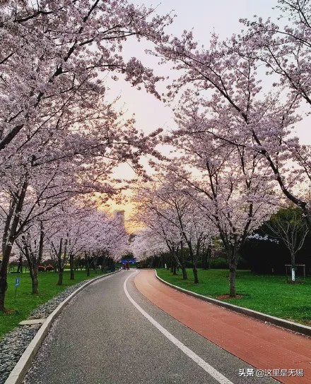 无锡网红打卡地彩虹跑道,无锡古运河健身步道