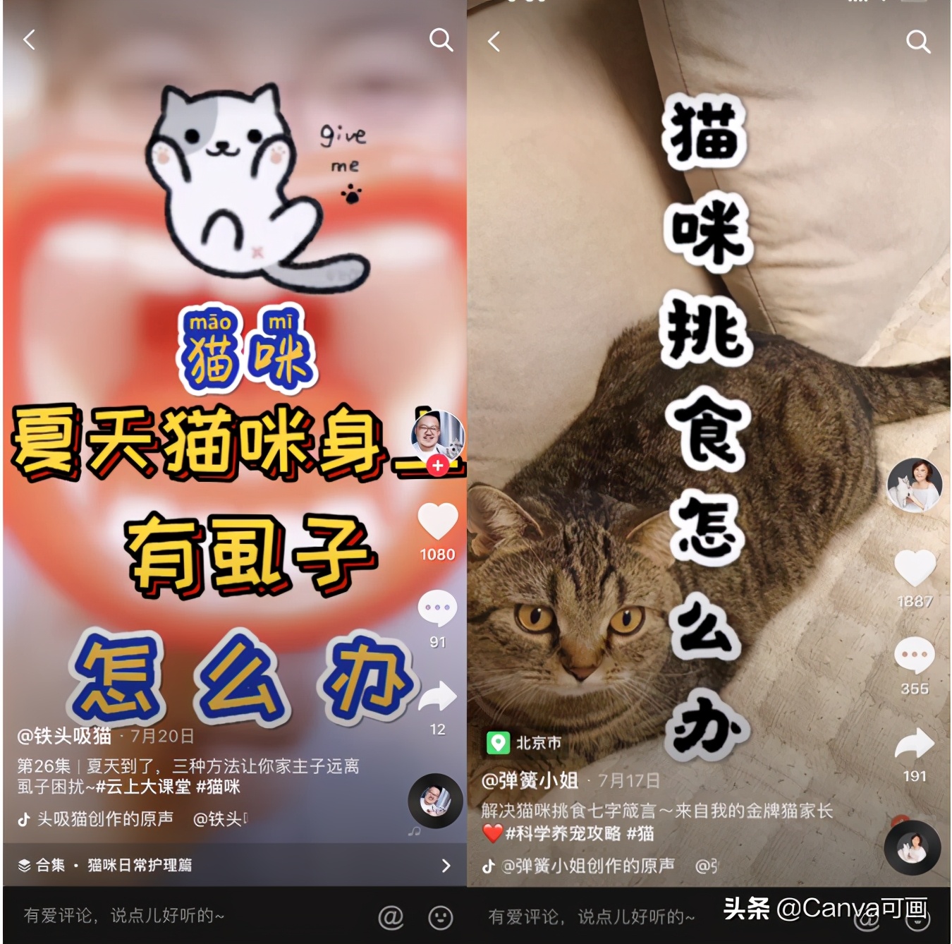 奈雪的茶开茶铺,奈雪的茶开业快剪