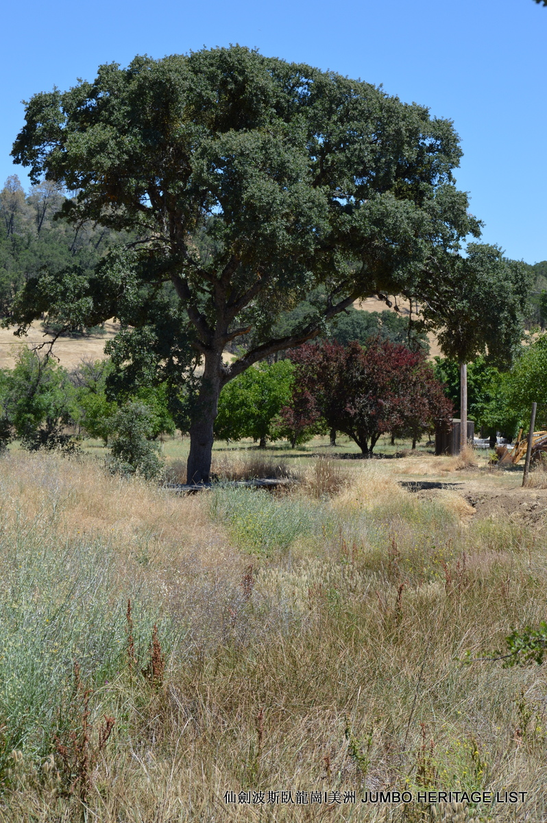 第3034回：无风雨不知花可惜，无患难不知人可谋