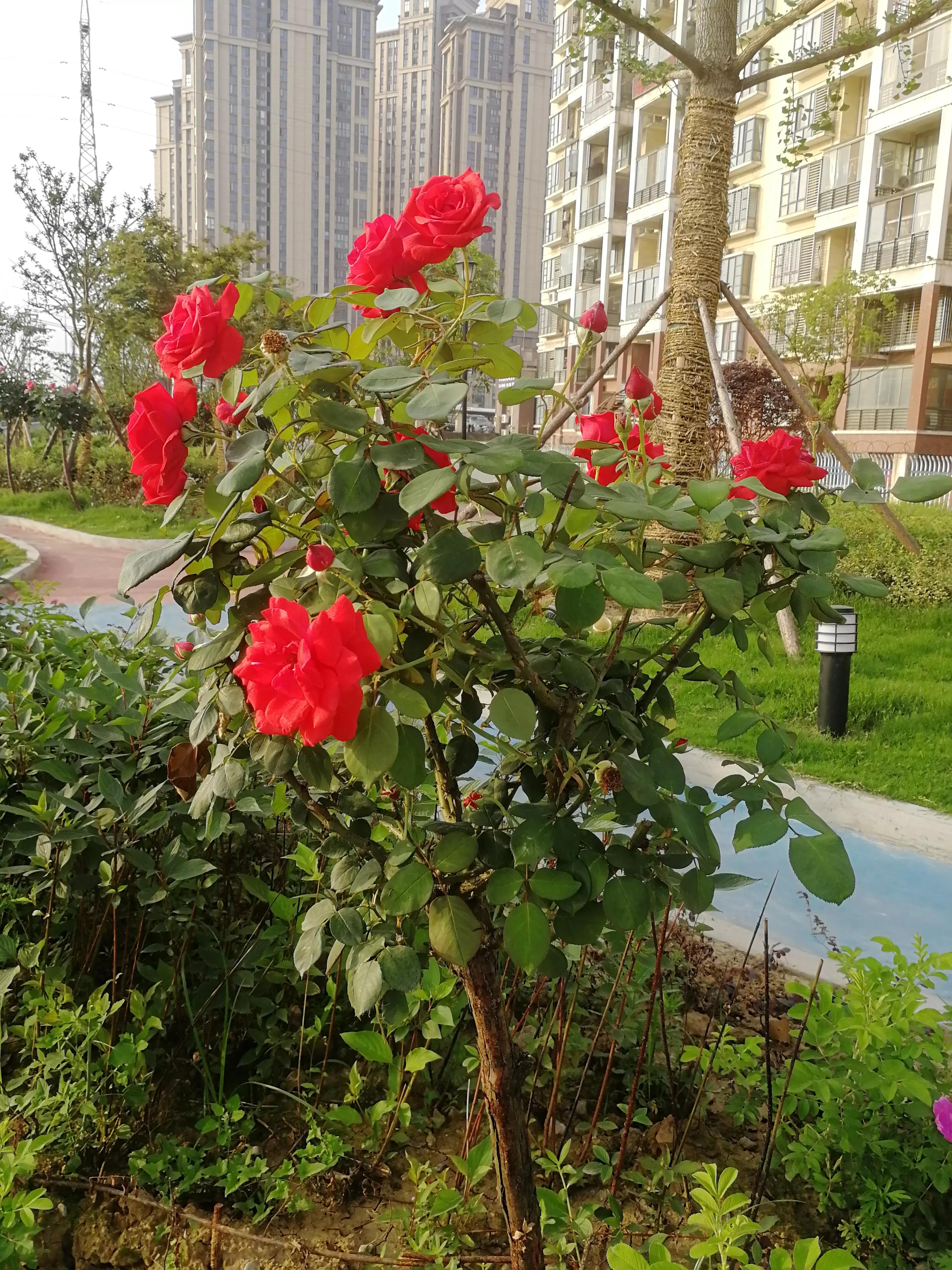 在身体还允许走动时，去看看小姨