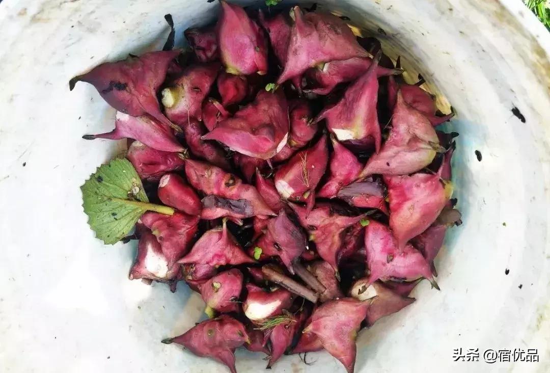 苏州西山有哪些景点和小吃,苏州东山西山旅游攻略一日游