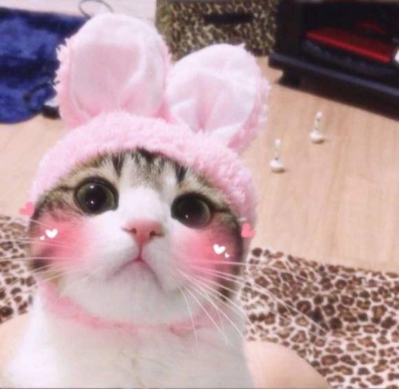 外贸是一种职业吗,外贸是做什么的岗位