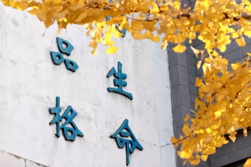 西川实验小升初,成都2021小升初西川实验