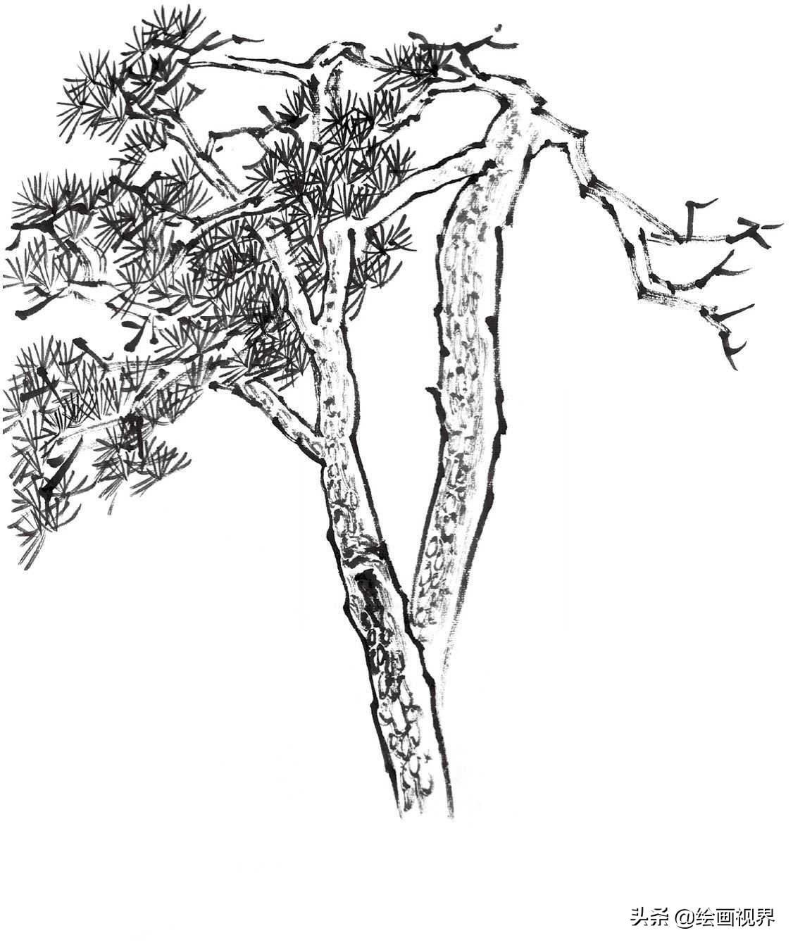 国画双钩树的画法入门,国画杂树与山石的画法图片