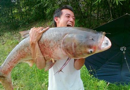 钓鱼线组搭配与鱼钩的大小,鱼塘钓鱼线组的最佳搭配