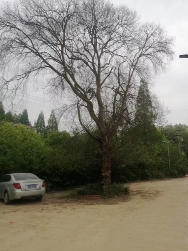 大学里遇见最美的你,感恩母校感恩所有的遇见和陪伴