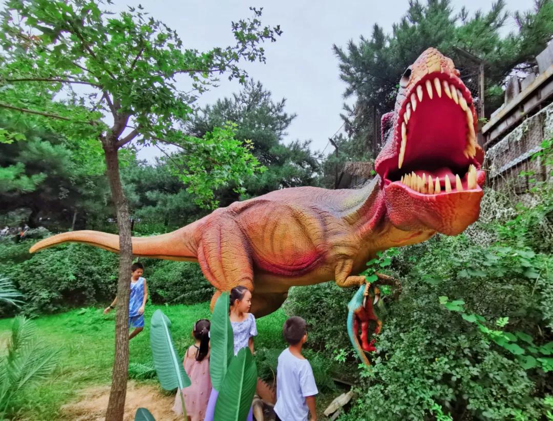 济南遛娃室内去哪里玩,济南遛娃好玩的地方