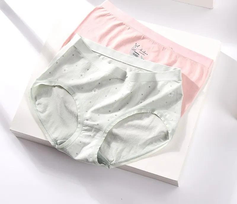 宏杰内衣2019,宏杰内衣公司旗下品牌价格表