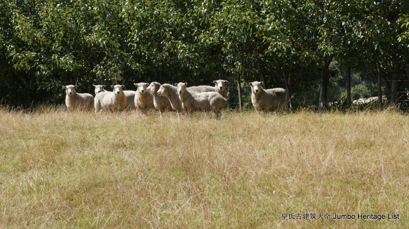 第36回：女同性恋貌合神离，划清界限准备摊牌