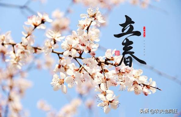 立春在除夕那一天是寡妇年吗,今年立春是春寒还是春暖