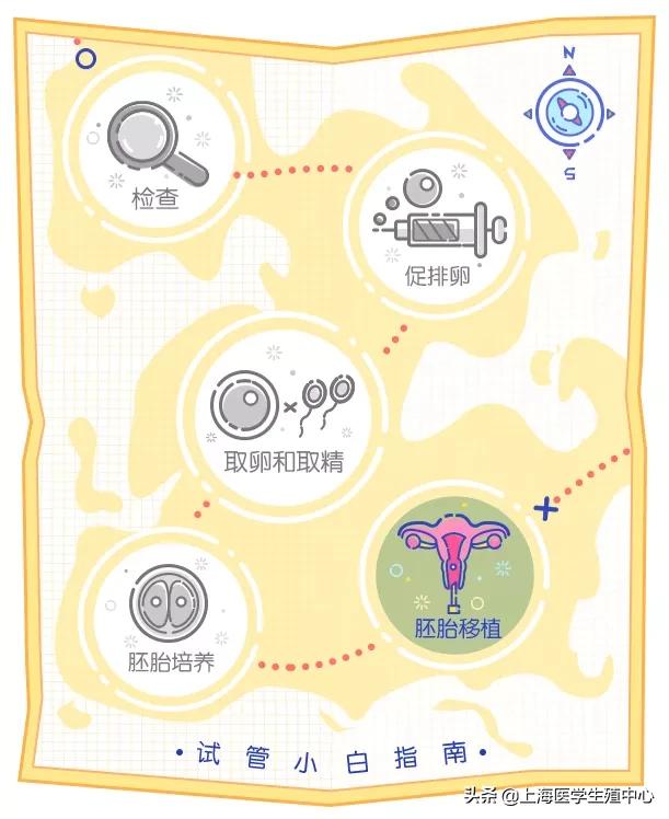 试管移植24天胚胎发育情况,试管移植胚胎着床后体温变化