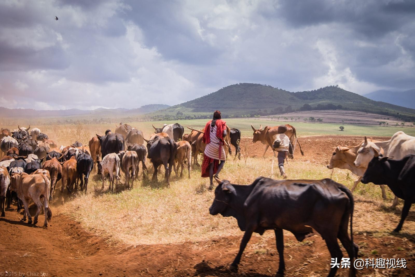 世界上最凶猛的战斗民族,最凶狠战斗民族
