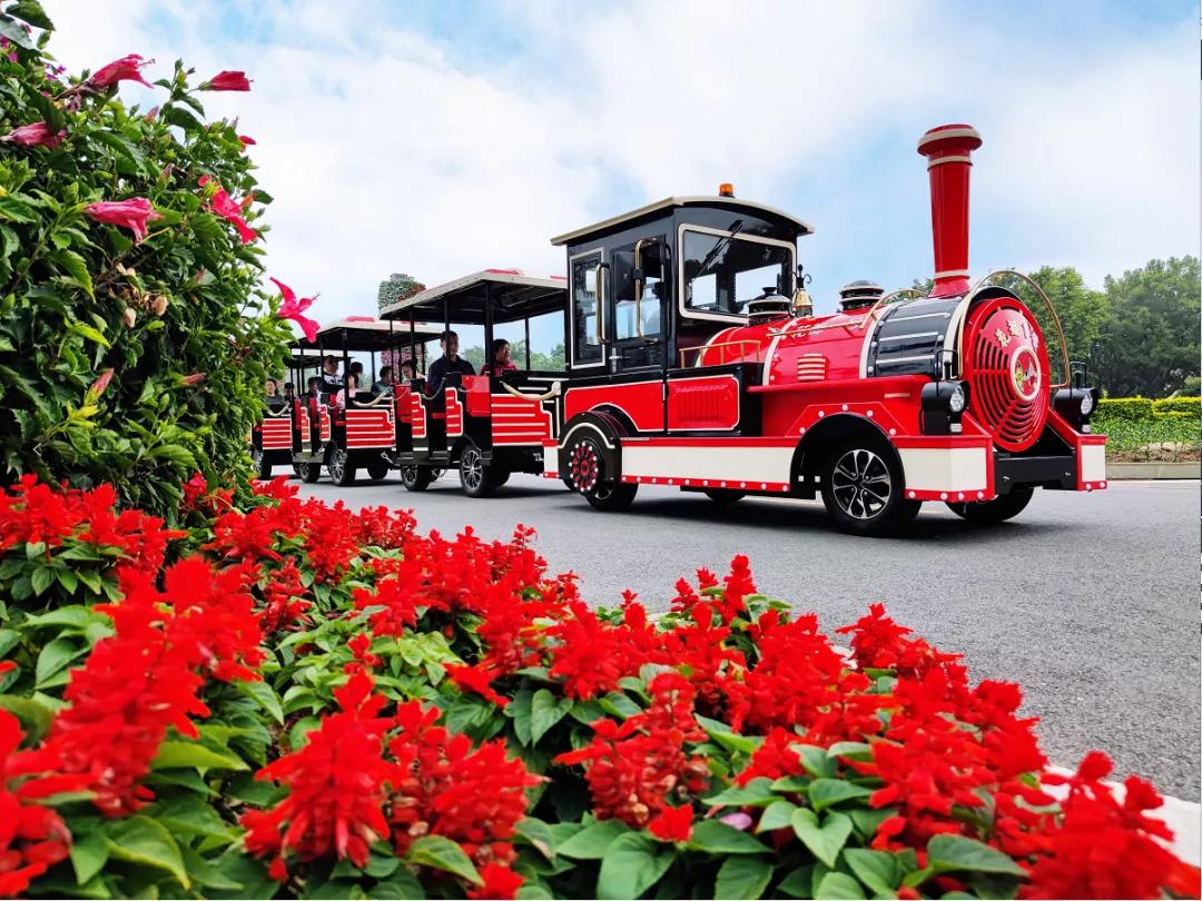 东南花都花博园景观,东南花都花博园