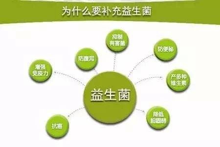 猫用什么益生菌最好,什么益生菌对猫好又见效快