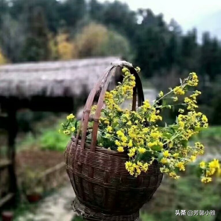 父母怎样孝敬才是对,父母对自己不好怎么孝敬父母