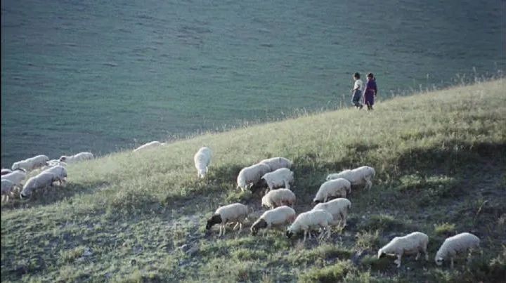 腾格尔曾经出演过哪部电影,腾格尔友情出演的电影