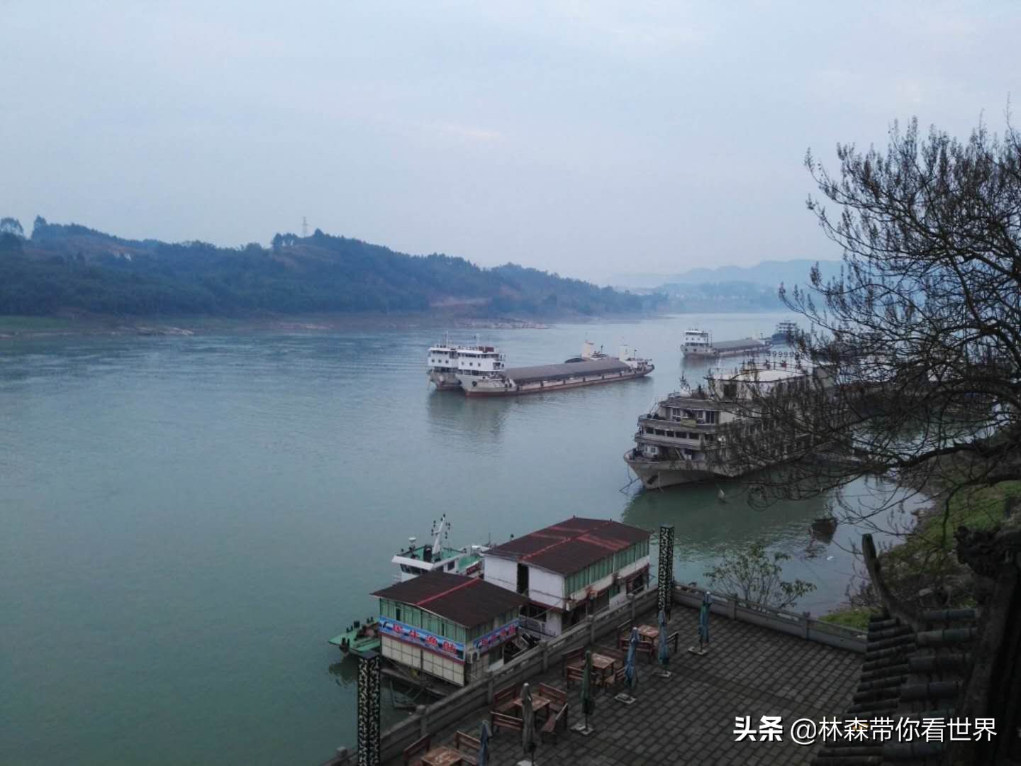 林森完整版免费观看,林森完整视频