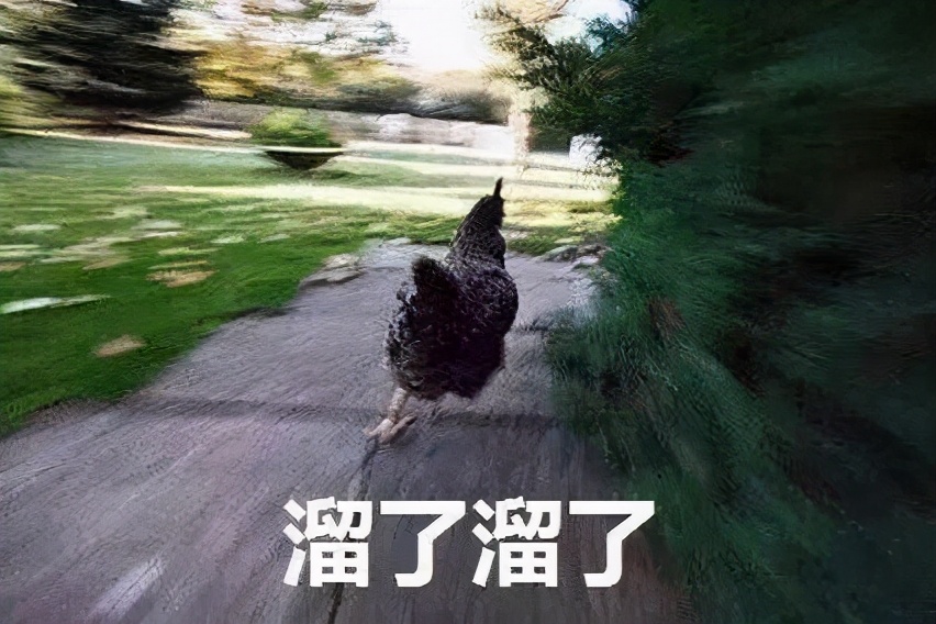 男生隆鼻很假,软骨隆鼻假吗