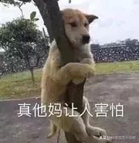 名创优品是骗子平台吗,名创优品有没有假的