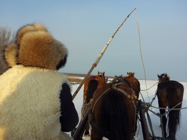 东北全鱼宴 (东北最正宗的全鱼宴)