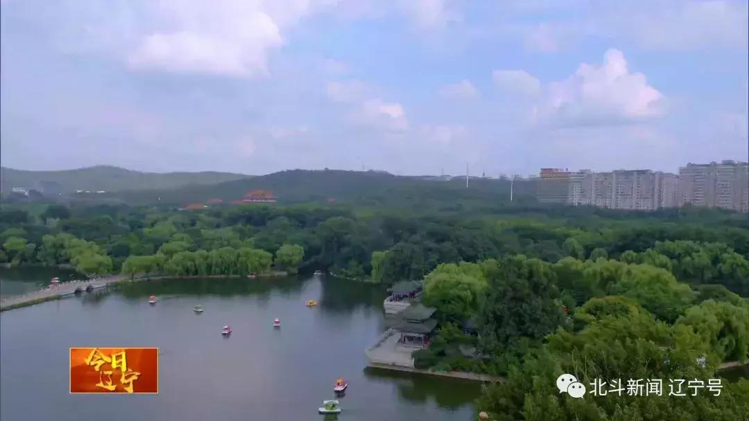 辽宁卫视今日节目预告,辽宁卫视在线观看直播鞍山