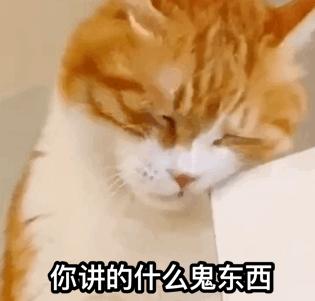 周扬青不怕触犯法律么,周扬青第一次发声