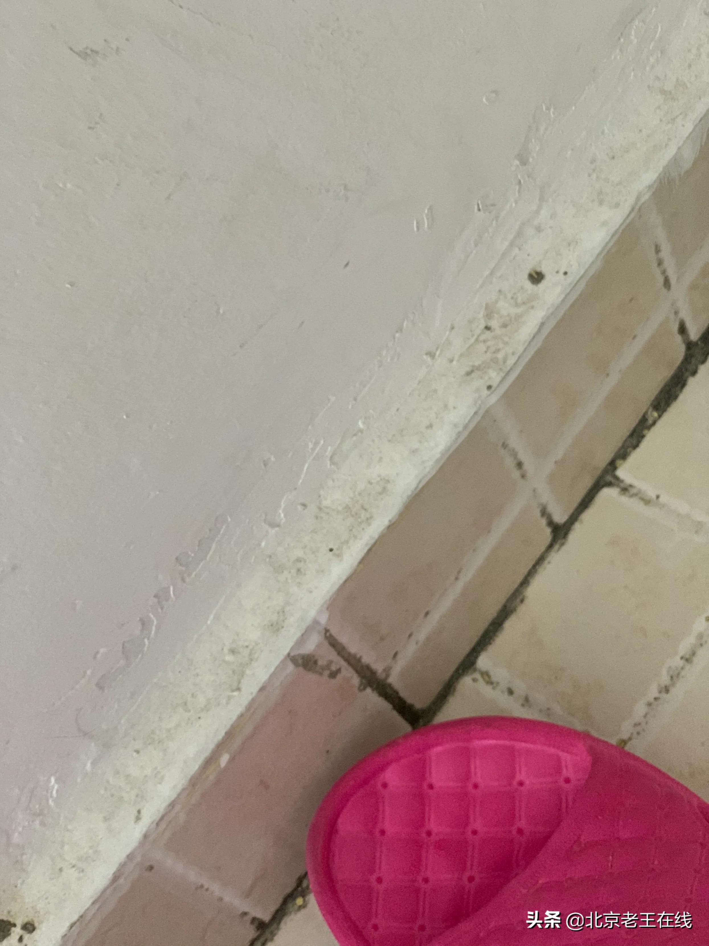 川渝8日出游,成都旅游如何选择民宿更安全