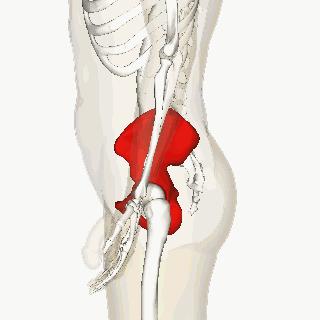 健身房改善假胯宽最有效,健身直播胯宽咋练