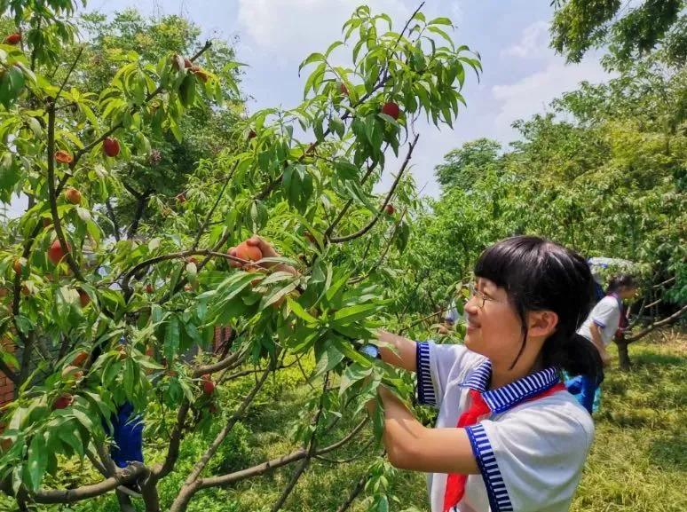 揭秘丨会玩,更会学!位于城北的这所七系学校,你了解多少?