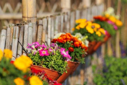 福建省漳州旅游景点大全,福建省漳州市风景区旅游景点介绍