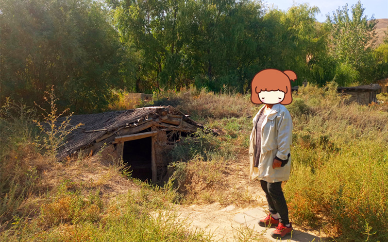 戈壁明珠石河子,石河子屯垦戍边的故事